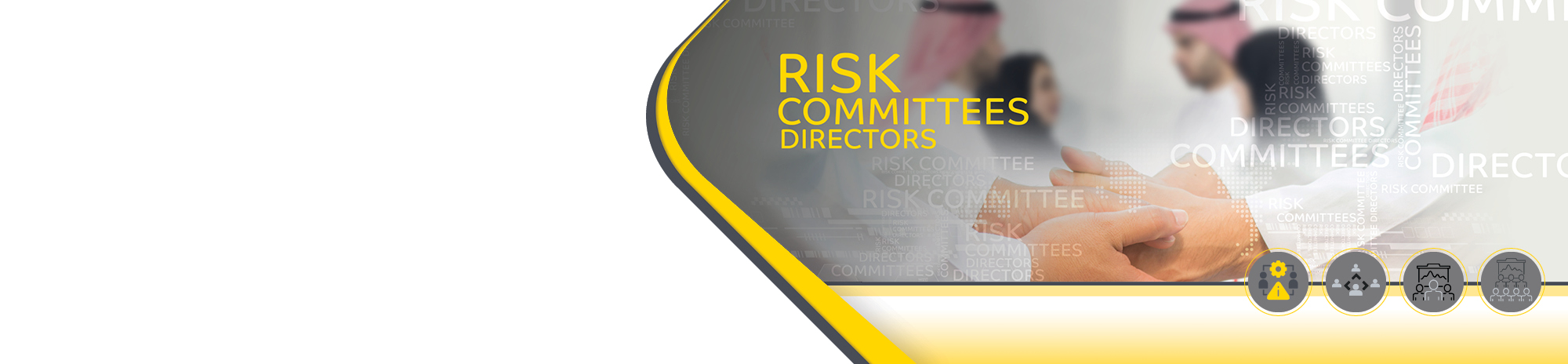 board risk committee-en